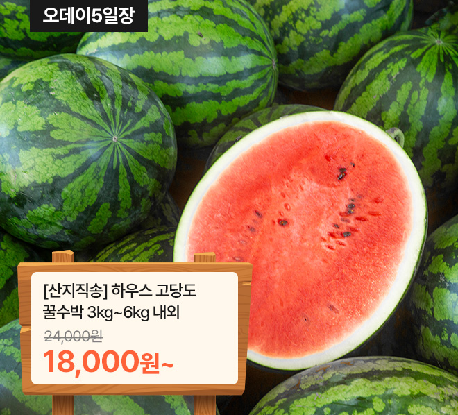 메인배너