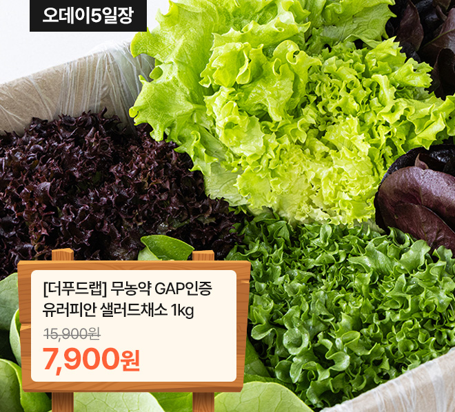 메인배너